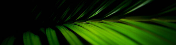 Eco Mode